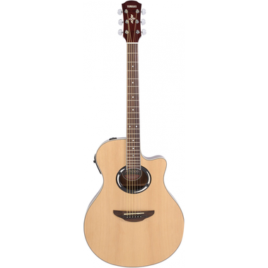 Acoustic Guitar APX500